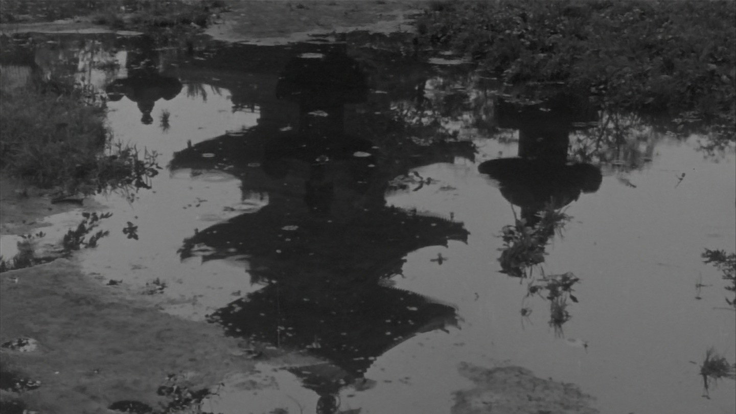The Wild Geese