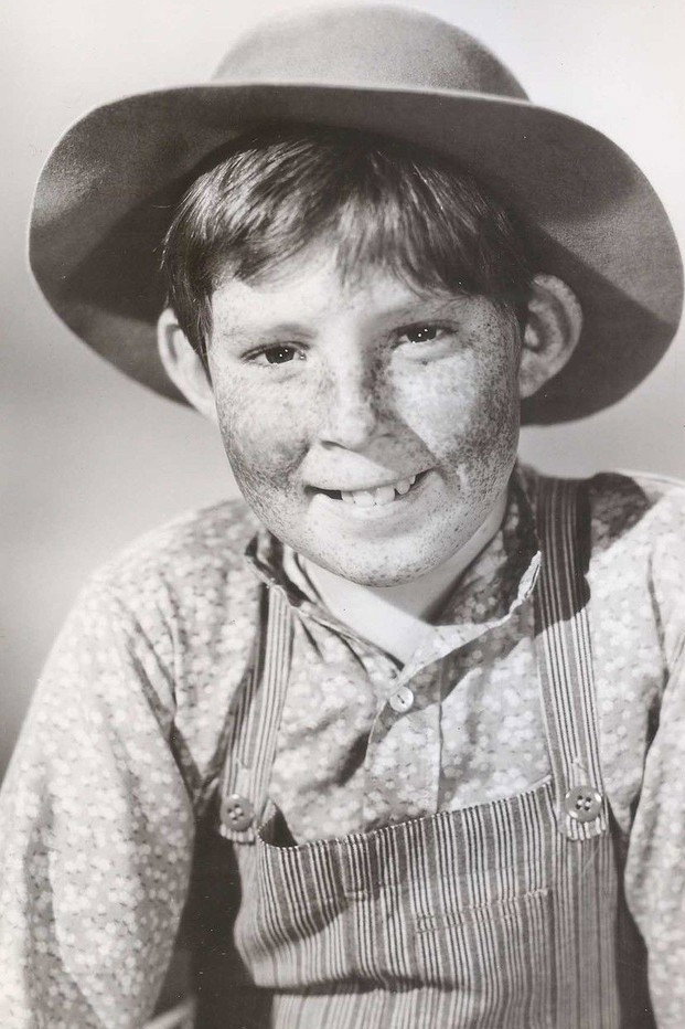 Stephen Wootton
